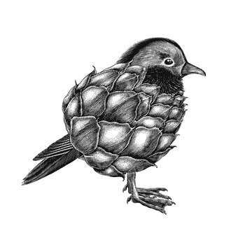 LOGO COMPTOIR PHENIX fond blanc 360x360